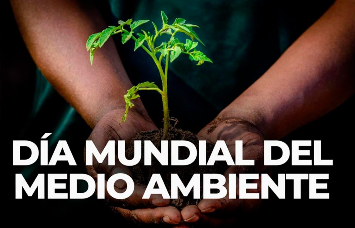 Día Mundial del Medio Ambiente: “Nuestras Tierras, Nuestros Futuros”