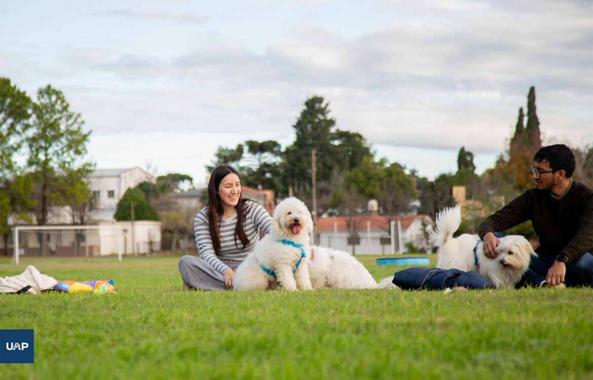 Educación y Bienestar animal en la familia