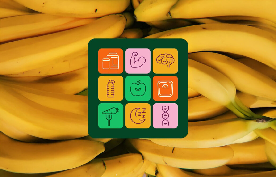 La UAP en conjunto con el CONICET desarrollan una App para evaluar la alimentación diaria