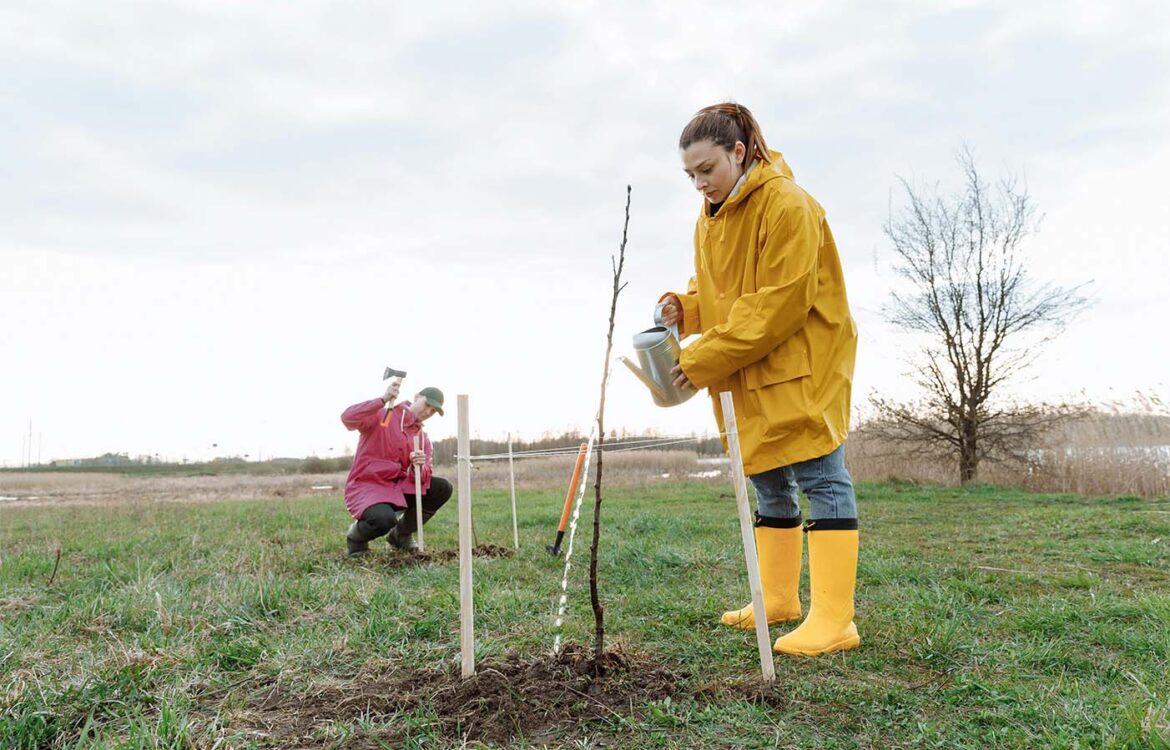 Programa de Voluntariado corporativo en la UAP